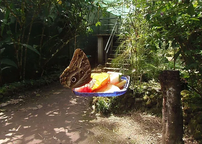 Pablo's House ゲストハウス